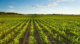 Météo agricole 
