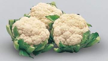 Chou fleur