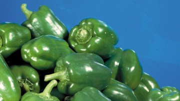 Poivron